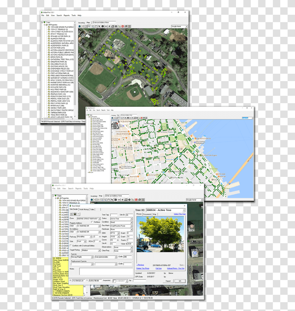 Tree Management Software Plan, Vegetation, Outdoors, Landscape, Nature Transparent Png