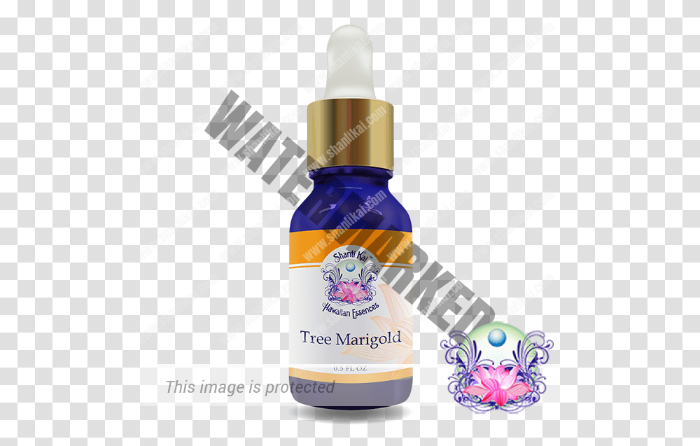 Tree Marigold Hawaii Plants, Label, Text, Medication, Flyer Transparent Png