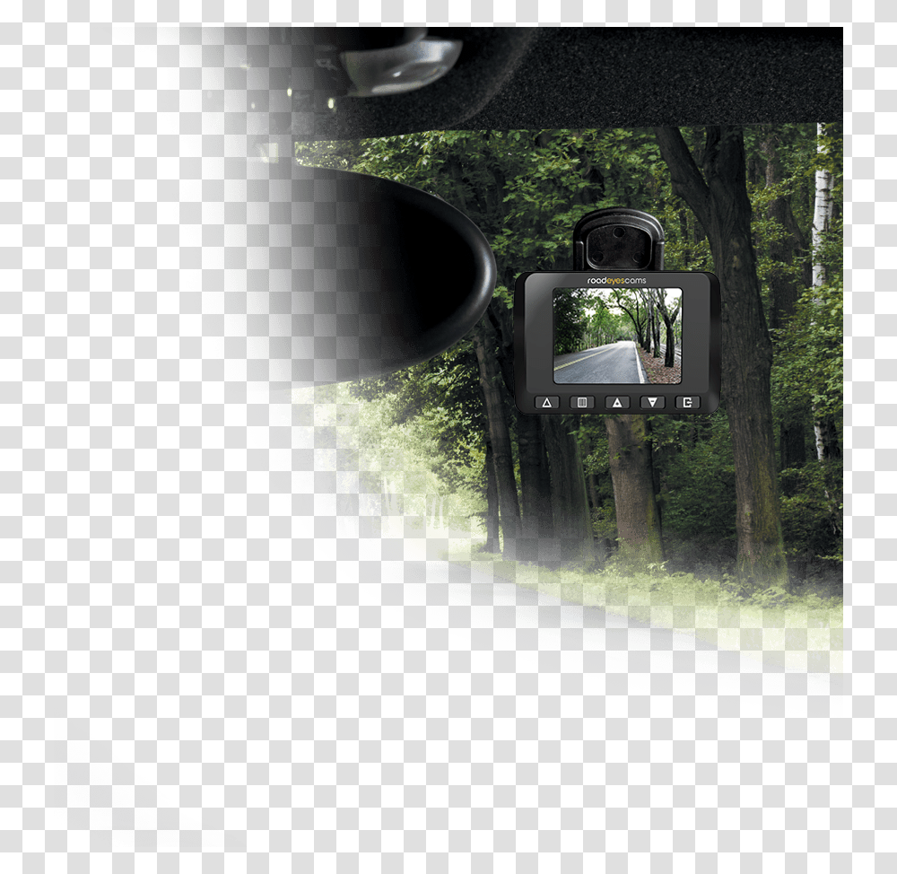 Tree, Mirror, Car Mirror, Tarmac, Asphalt Transparent Png