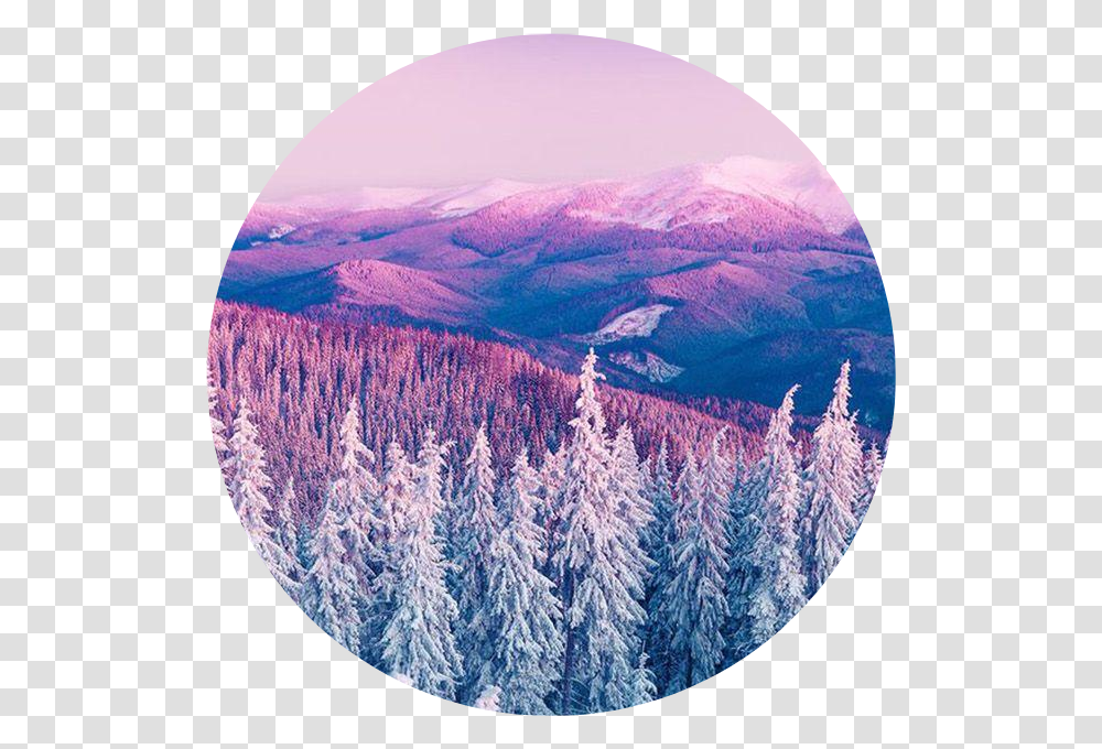 Tree Mountains Pink Purple Blue Aesthetic Aestheticcircle Beautiful Wallpaper Winter Background, Plant, Outdoors, Rug, Nature Transparent Png