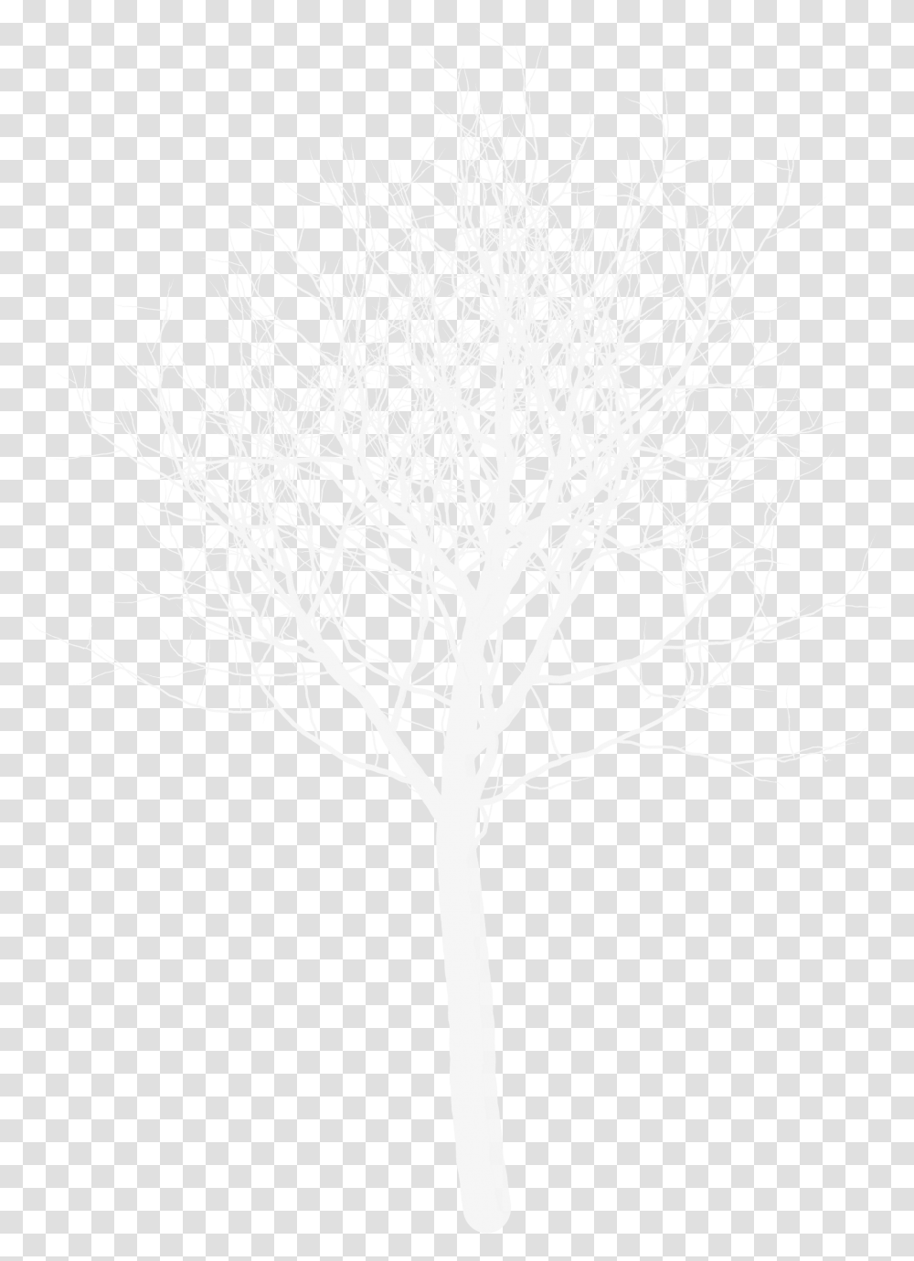 Tree Naked 2 Image Darkness, Plant, Cross, Symbol, Silhouette Transparent Png