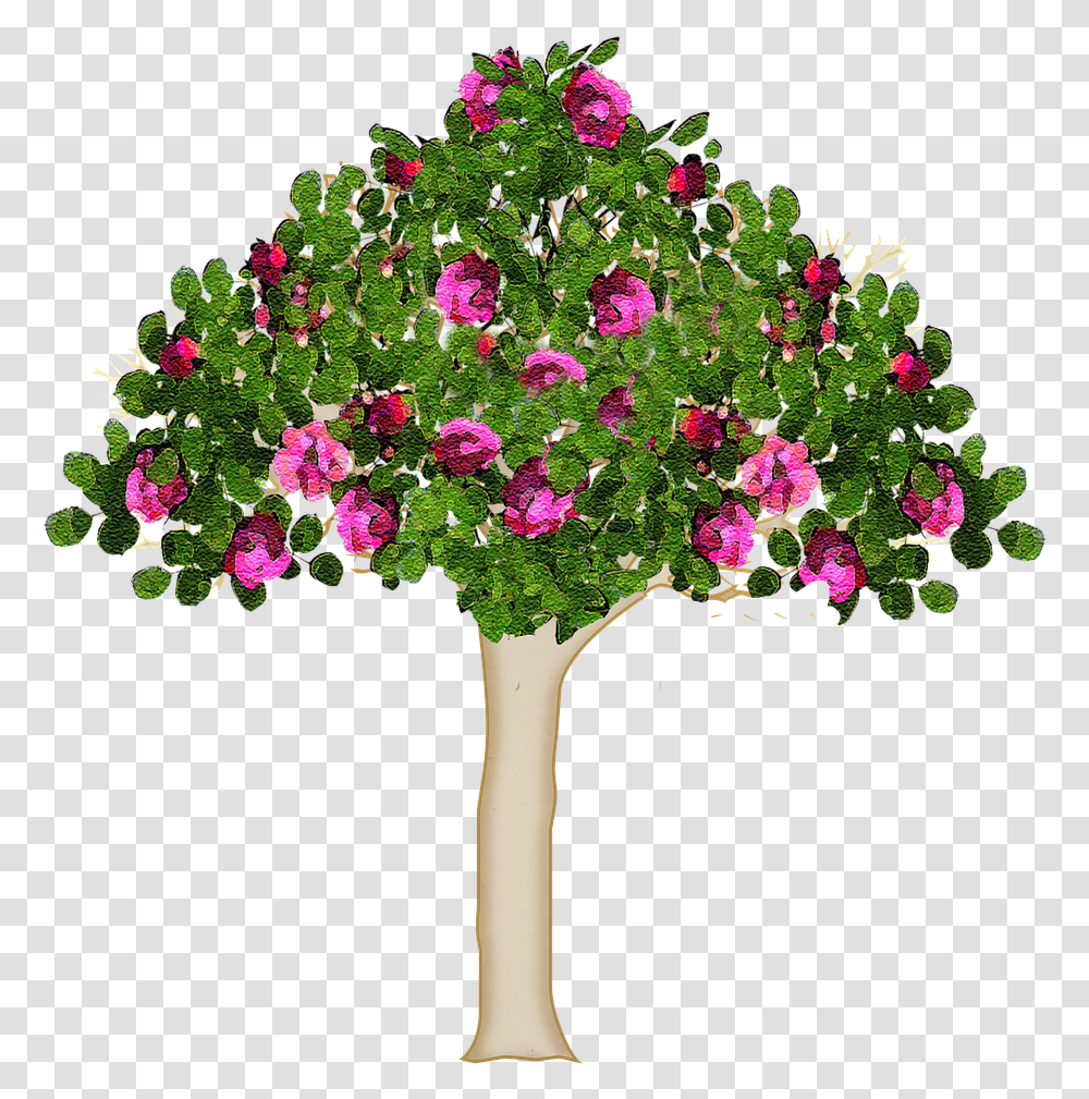 Tree Nature Forest Free Photo Kwitnce Drzewo, Plant, Geranium, Flower, Blossom Transparent Png