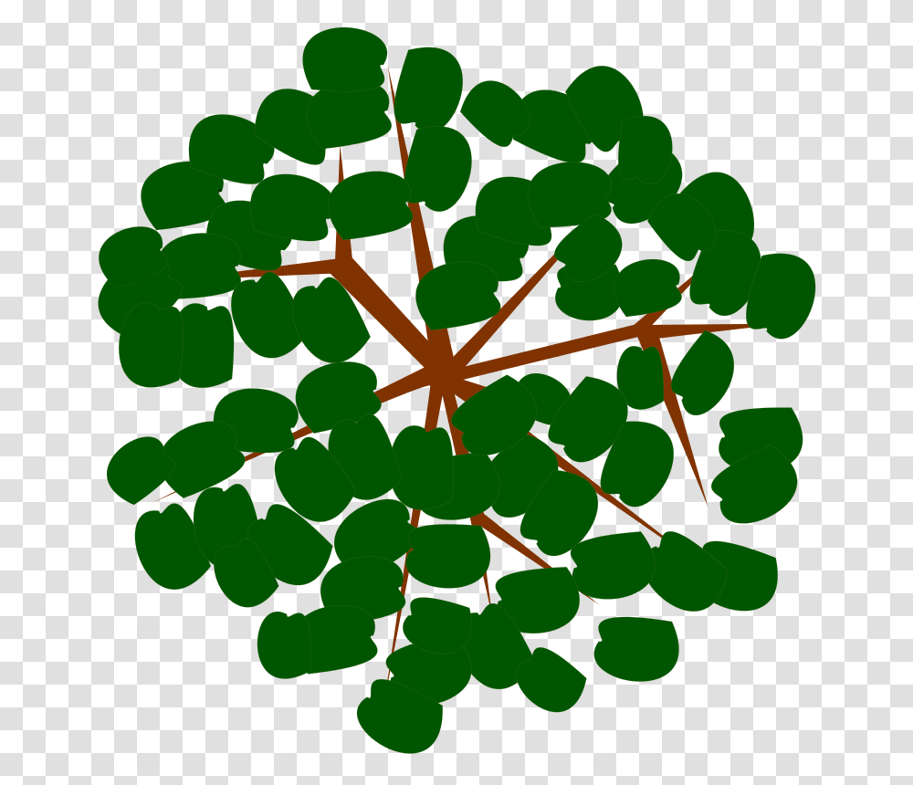 Tree, Nature, Green, Plant, Leaf Transparent Png