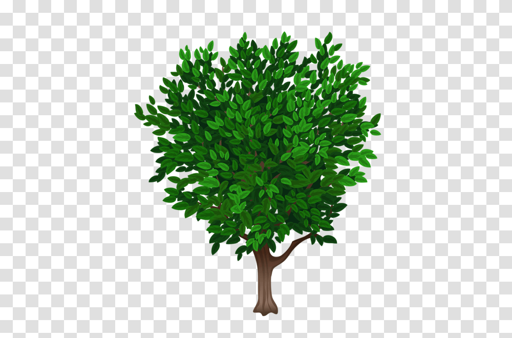 Tree, Nature, Leaf, Plant, Bush Transparent Png