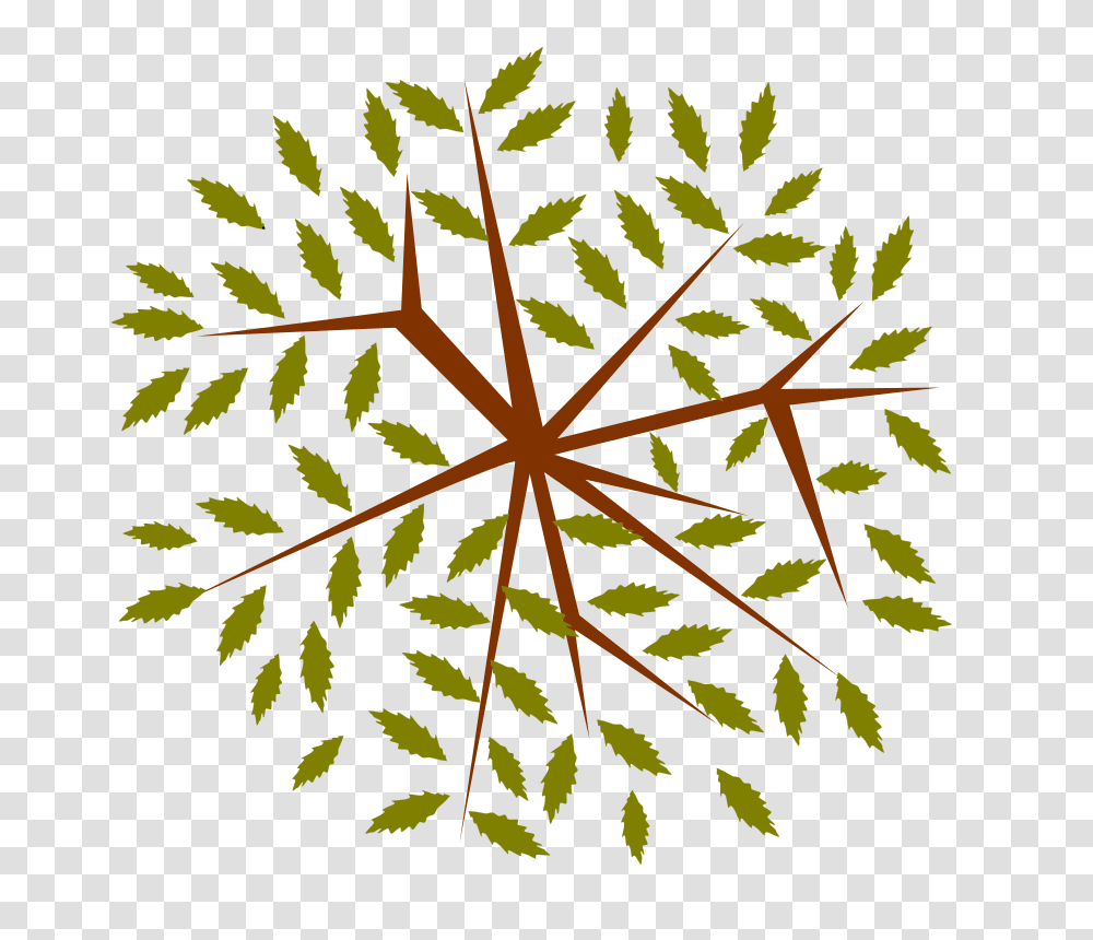 Tree, Nature, Leaf, Plant, Cross Transparent Png