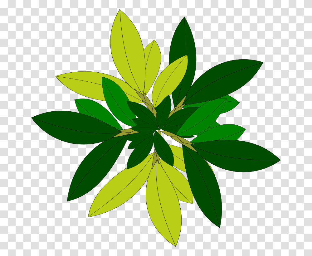 Tree, Nature, Leaf, Plant, Green Transparent Png