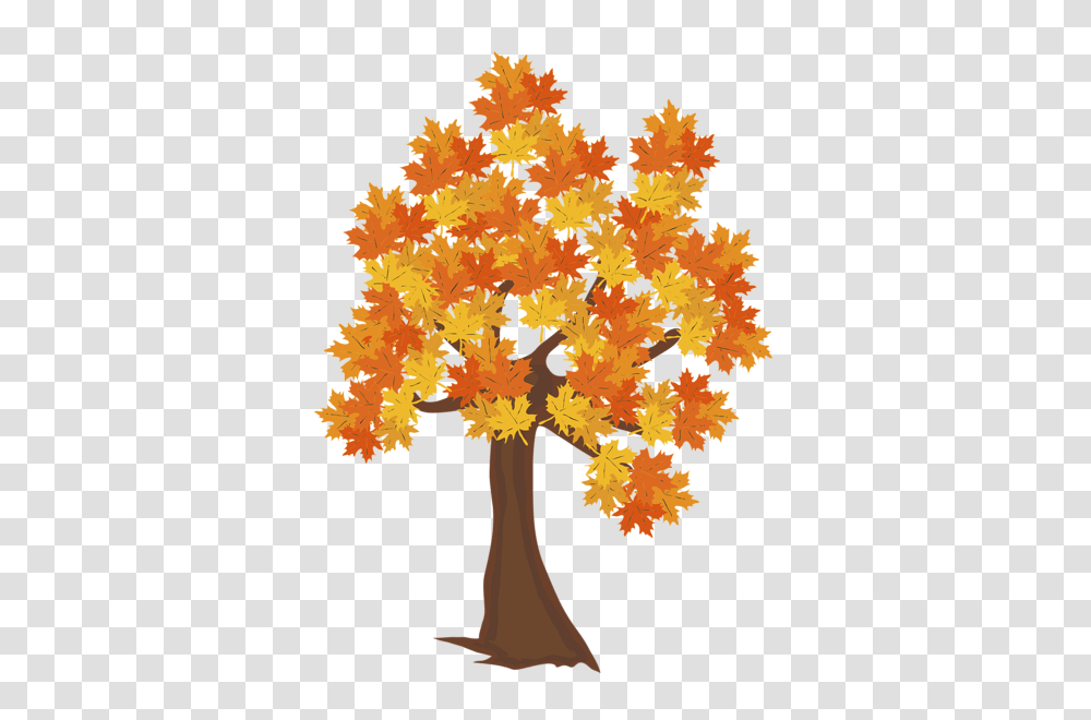 Tree, Nature, Leaf, Plant, Maple Transparent Png