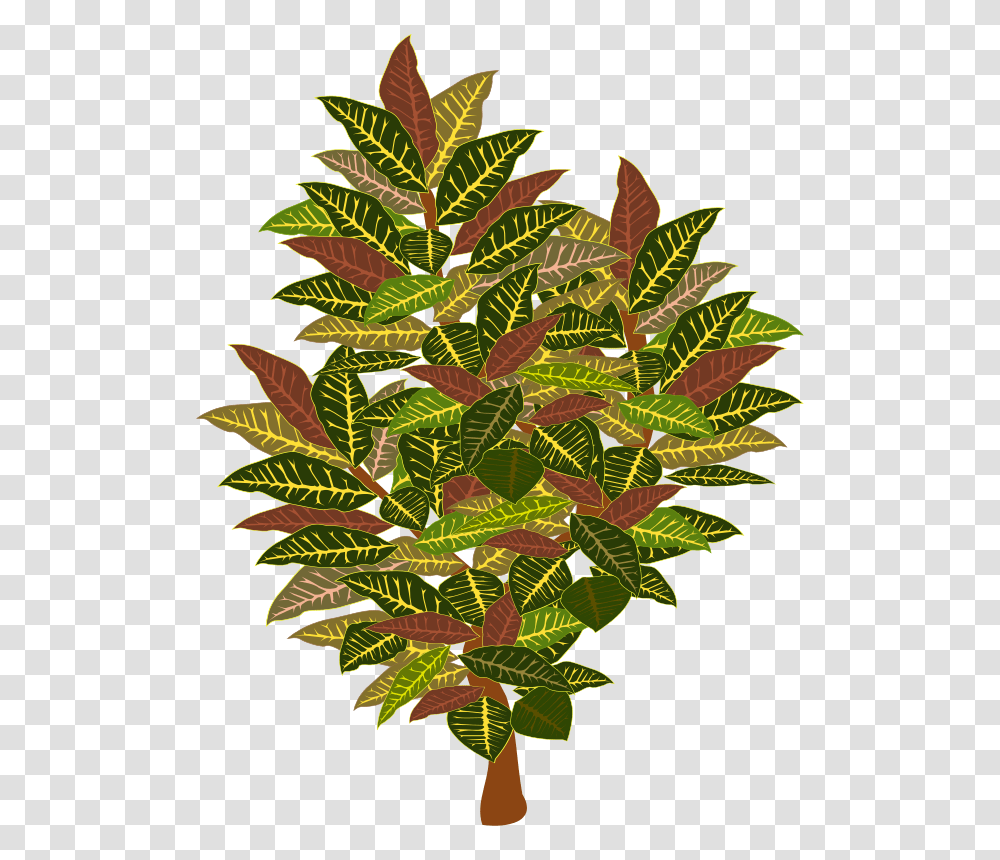 Tree, Nature, Leaf, Plant, Pineapple Transparent Png