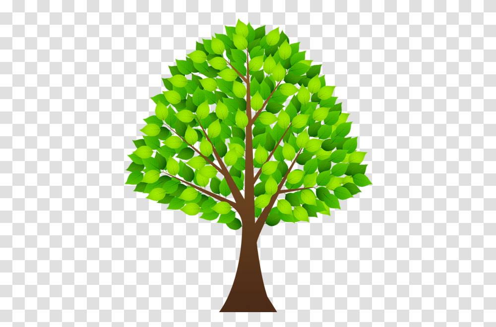 Tree, Nature, Plant Transparent Png