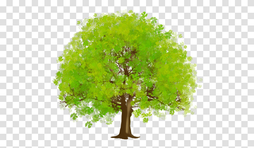 Tree, Nature, Plant, Bush, Vegetation Transparent Png