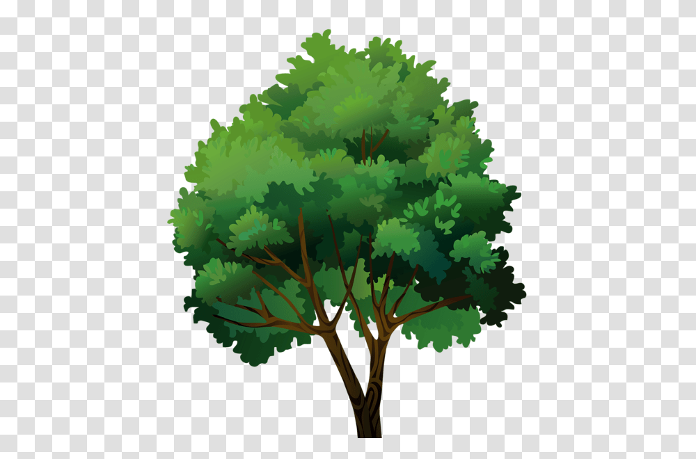 Tree, Nature, Plant, Bush, Vegetation Transparent Png