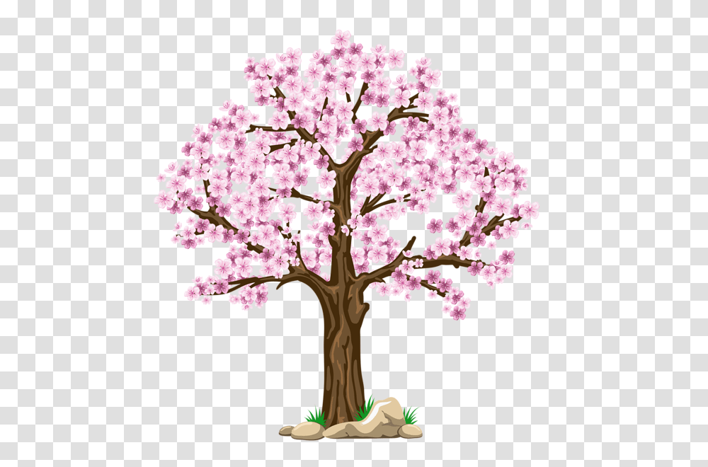 Tree, Nature, Plant, Cherry Blossom, Flower Transparent Png