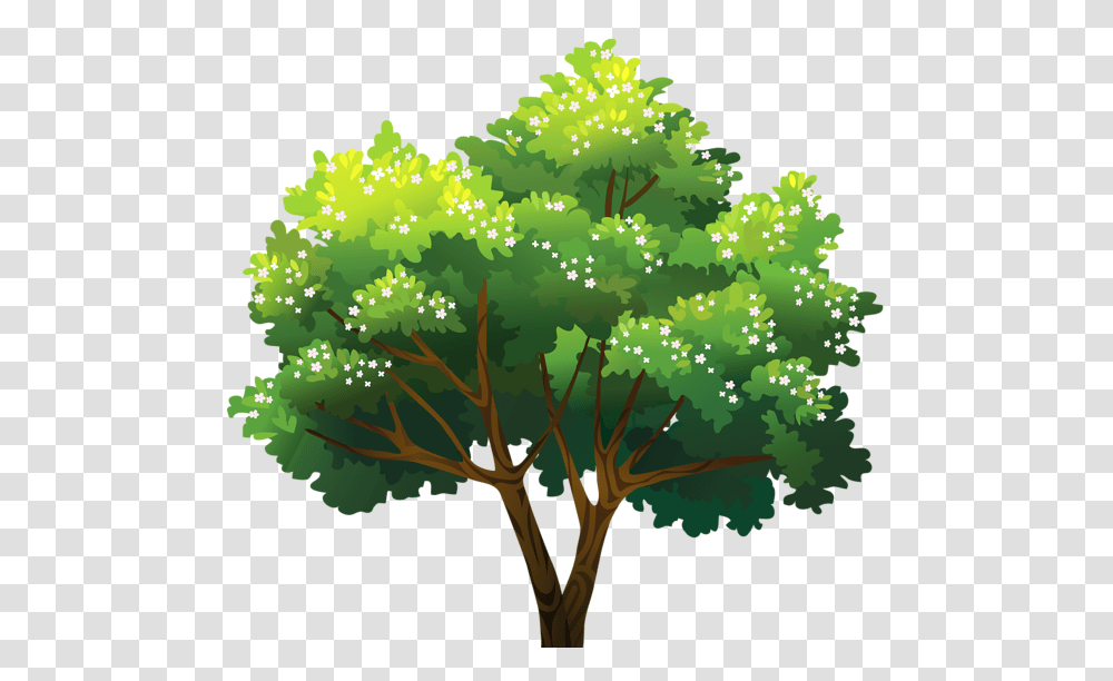 Tree, Nature, Plant, Green, Bush Transparent Png