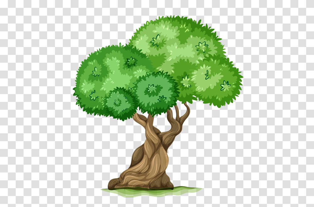 Tree, Nature, Plant, Green, Person Transparent Png