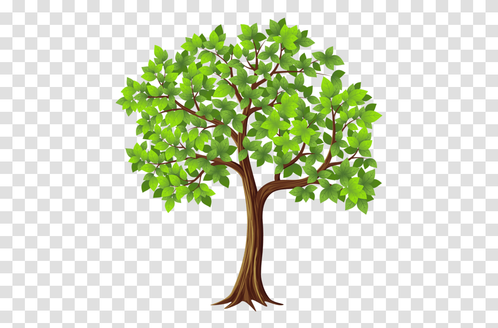 Tree, Nature, Plant, Leaf, Bush Transparent Png