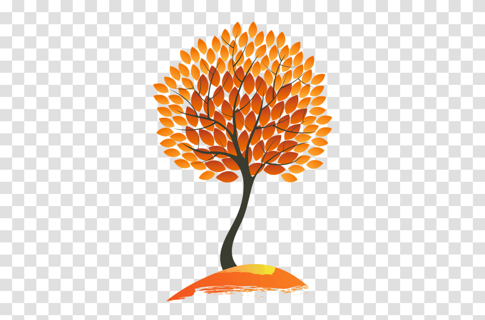 Tree, Nature, Plant, Leaf, Maple Transparent Png