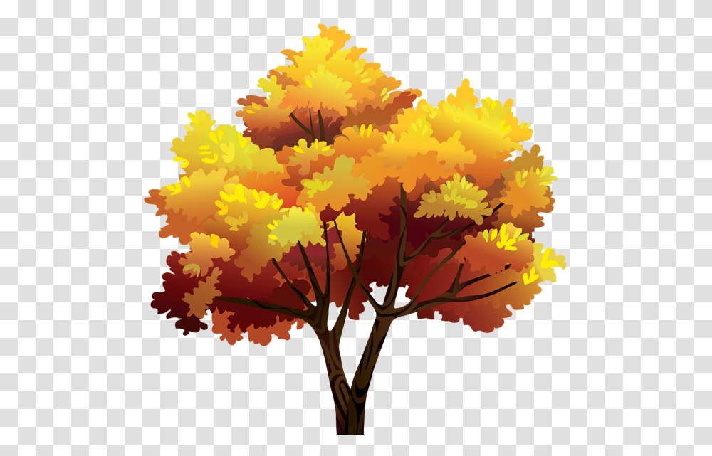 Tree, Nature, Plant, Maple, Leaf Transparent Png