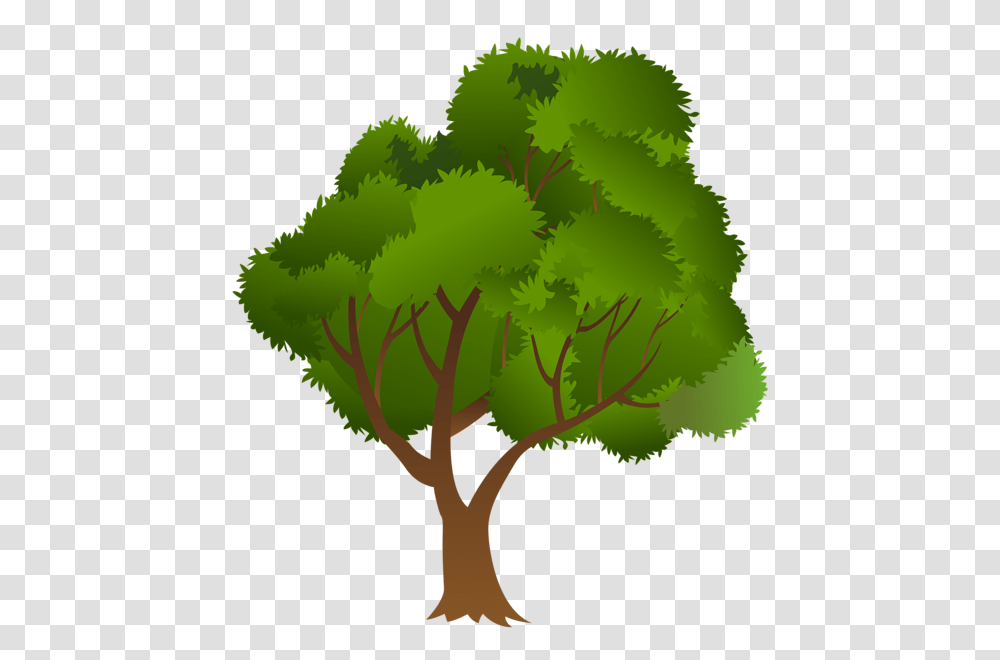 Tree, Nature, Plant, Moss, Green Transparent Png