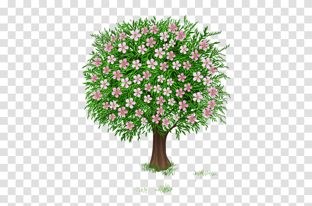 Tree, Nature, Plant, Petal, Flower Transparent Png