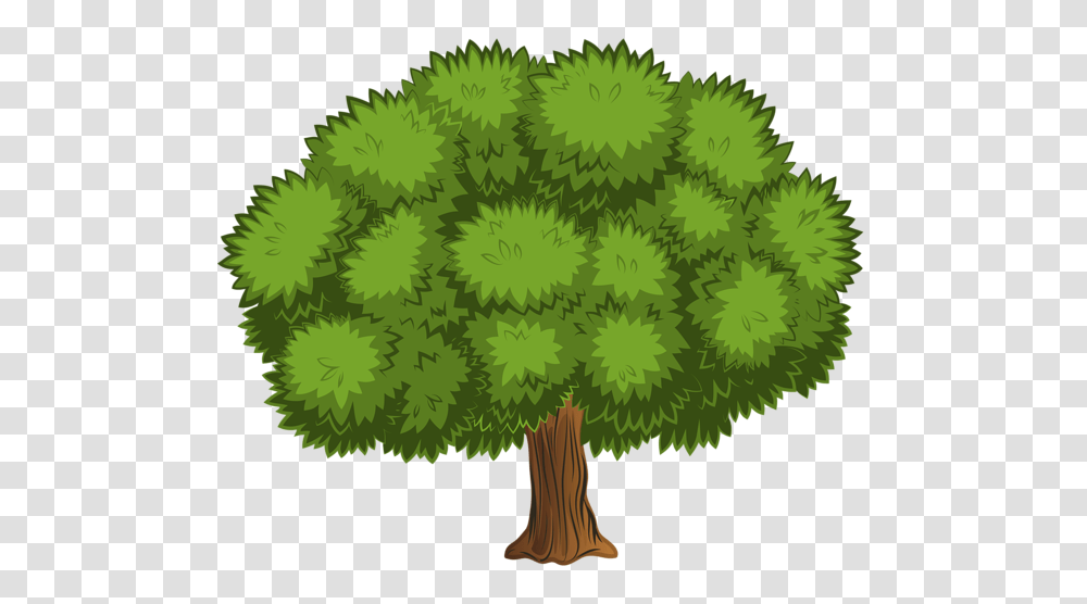 Tree, Nature, Plant, Pine, Conifer Transparent Png