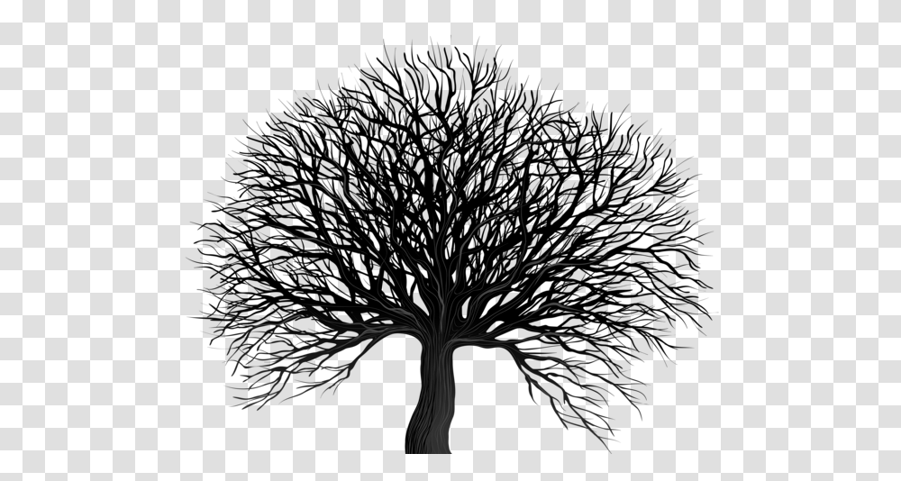 Tree, Nature, Plant, Silhouette, Pattern Transparent Png