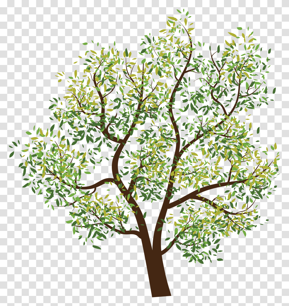 Tree, Nature, Plant, Tree Trunk, Doodle Transparent Png