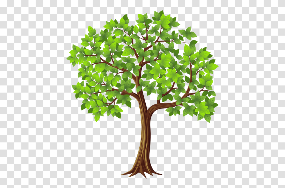 Tree, Nature, Plant, Tree Trunk, Potted Plant Transparent Png