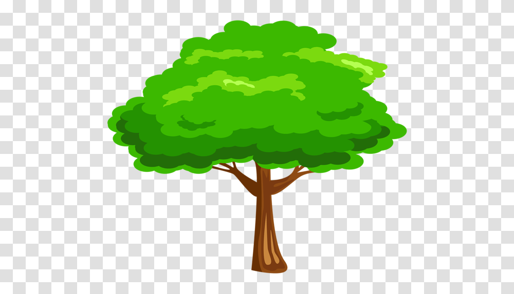 Tree, Nature, Plant, Vegetation, Fungus Transparent Png