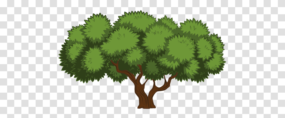 Tree, Nature, Plant, Vegetation, Tree Trunk Transparent Png