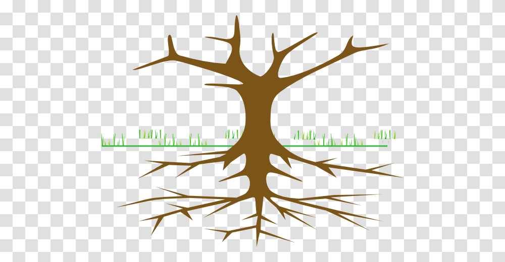 Tree No Leaves Clip Art, Plant, Root, Cross Transparent Png