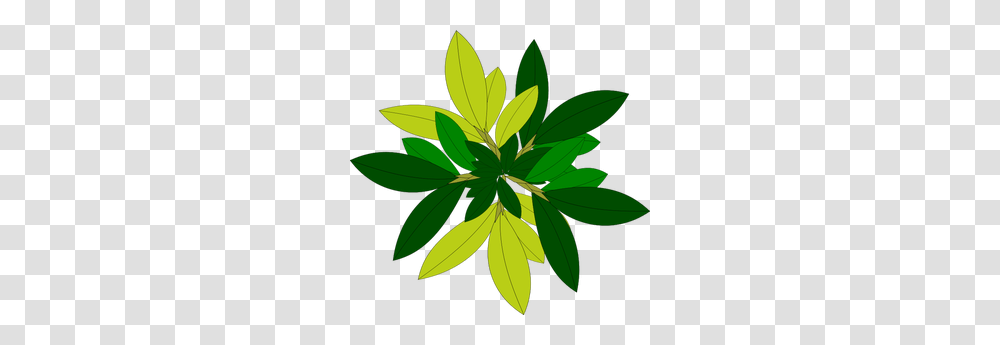 Tree No Leaves Free Clipart, Leaf, Plant, Green, Hemp Transparent Png