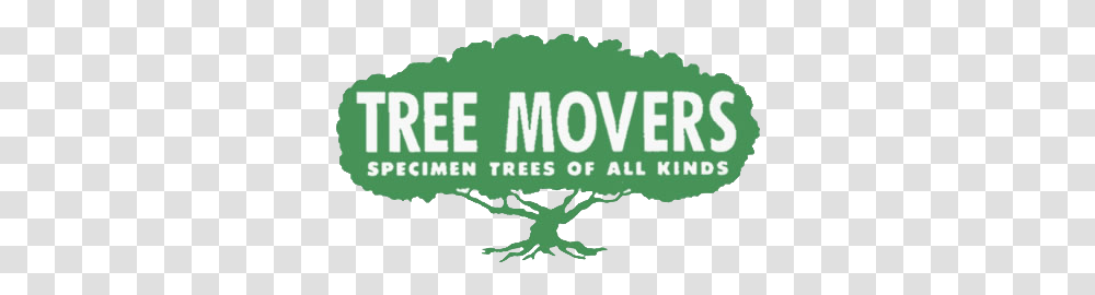 Tree Nursery Information Mountain View Ca Tree Movers Language, Text, Plant, Symbol, Logo Transparent Png