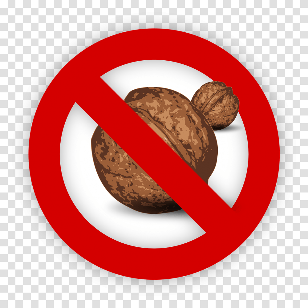 Tree Nut Allergy Food Allergen Walnut Whitechapel Station, Plant, Vegetable, Fruit Transparent Png