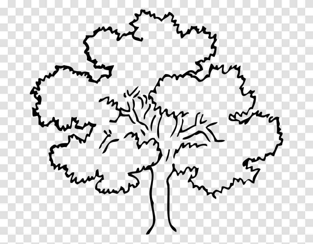 Tree Oak Maple Poplar Sycamore Fruit Tree Tree Black And White, Nature, Outdoors, Astronomy, Outer Space Transparent Png