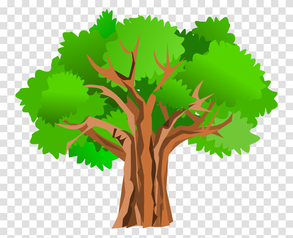 Tree Oak Trunk Drawing, Plant, Leaf, Tree Trunk, Palm Tree Transparent Png