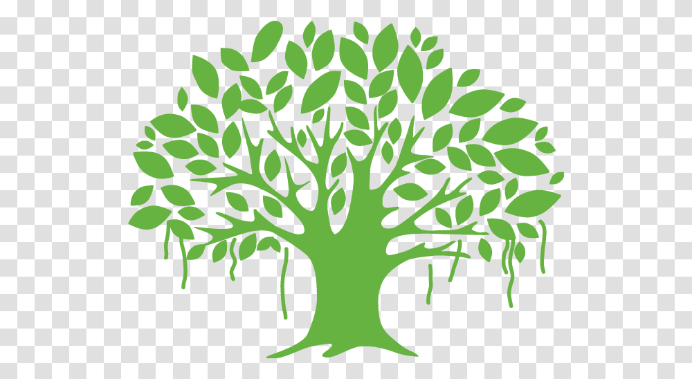 Tree Of Banyan Logo, Plant, Broccoli, Vegetable, Food Transparent Png