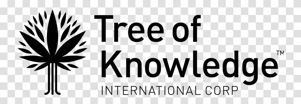 Tree Of Knowledge International Corp, Gray, World Of Warcraft Transparent Png