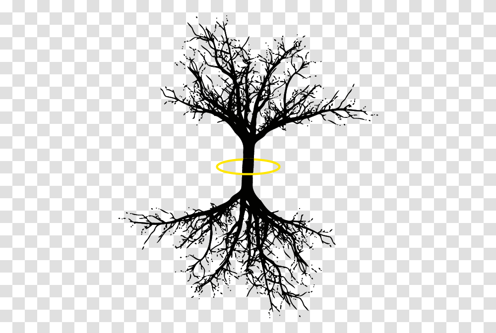 Tree Of Life Coniferous Tree Long Roots, Outdoors, Nature, Flare, Light Transparent Png
