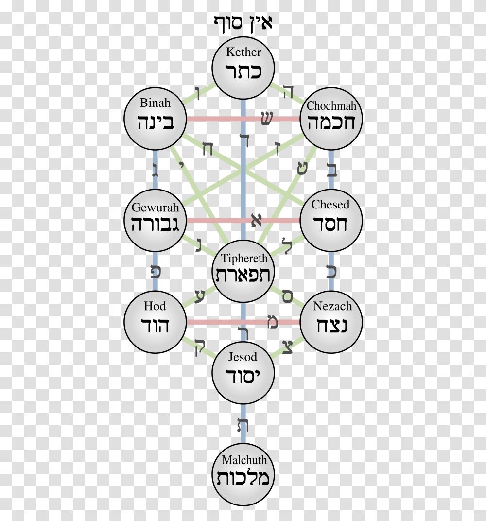 Tree Of Life, Diagram, Building, Plot, Network Transparent Png