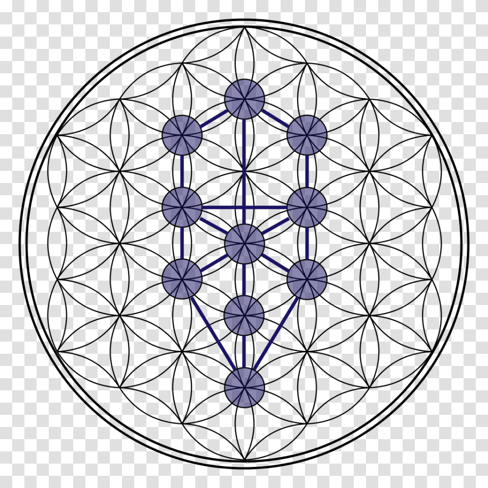 Tree Of Life Flower Of Life Stage, Network, Pattern Transparent Png