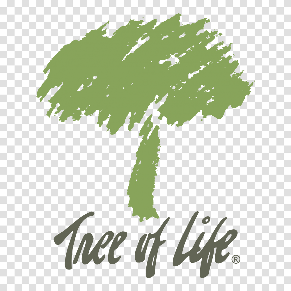 Tree Of Life Logo Graphic Tree Of Life, Plant, Text, Green, Poster Transparent Png