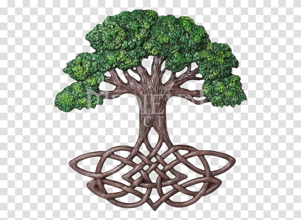 Tree Of Life Plaque, Plant, Cross, Root Transparent Png