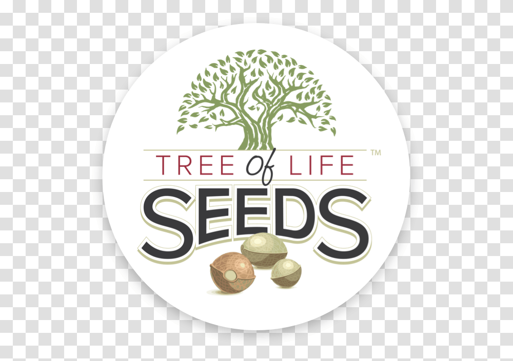 Tree Of Life Seeds, Plant, Vegetable, Food, Produce Transparent Png