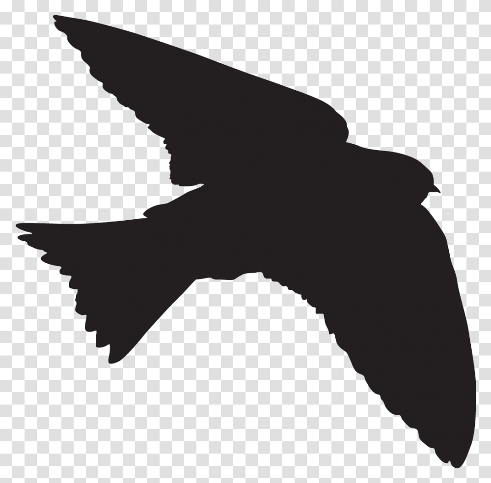 Tree Of Life Silhouette, Animal, Bird, Flying, Blackbird Transparent Png