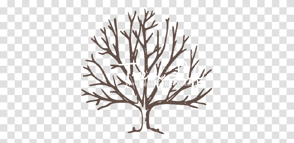 Tree Of Life Wire Working Accessories, Plant, Wood, Tree Trunk, Stencil Transparent Png