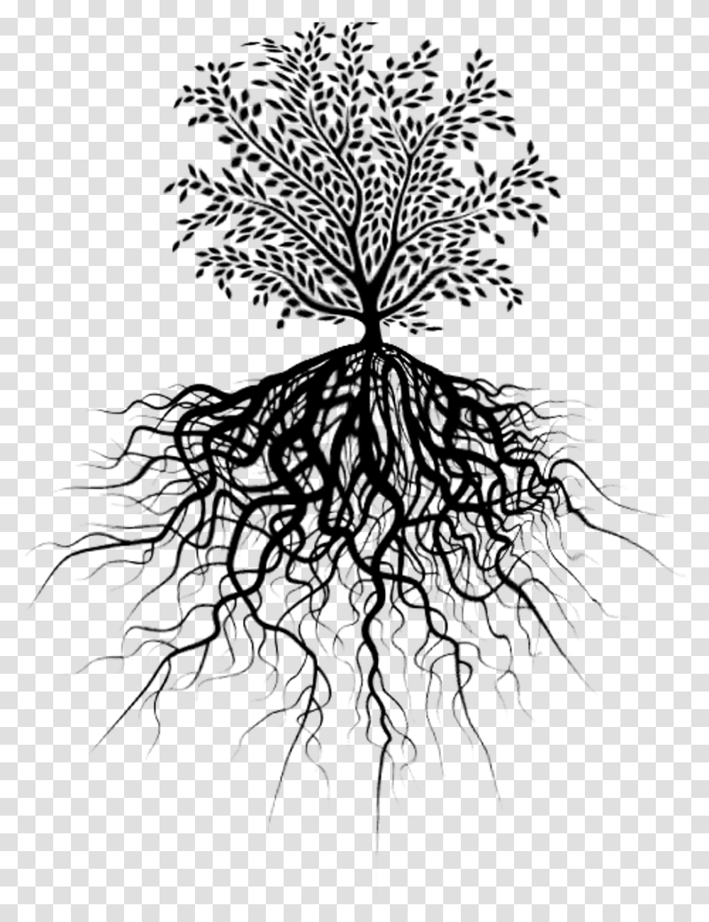 Tree Of Life With Roots Clipart Tree With Roots, Plant, Leaf, Pattern, Nature Transparent Png