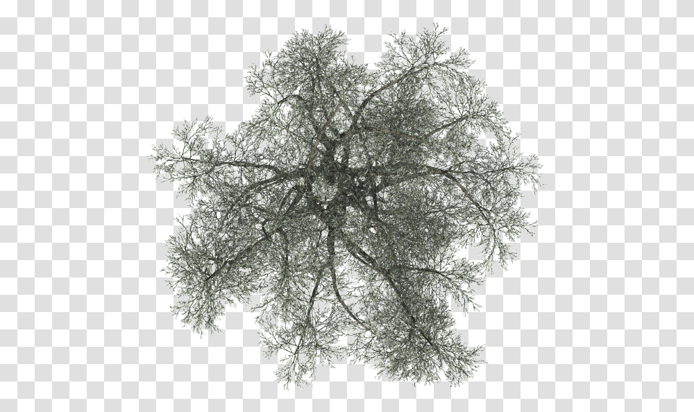 Tree On Top Black, Snowflake, Pattern, Fractal, Ornament Transparent Png