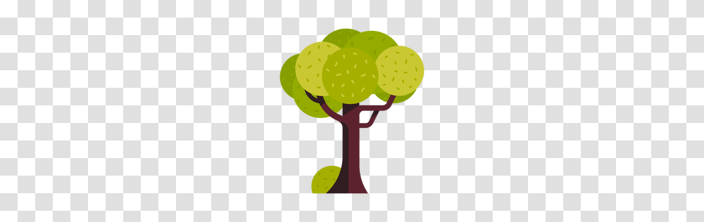 Tree Or To Download, Plant, Grapes, Fruit, Food Transparent Png