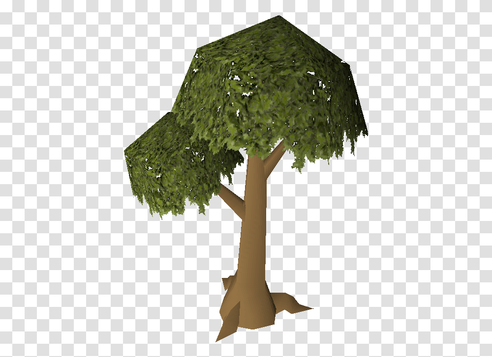 Tree Osrs Wiki Old School Runescape Tree, Plant, Vegetation, Woodland, Outdoors Transparent Png
