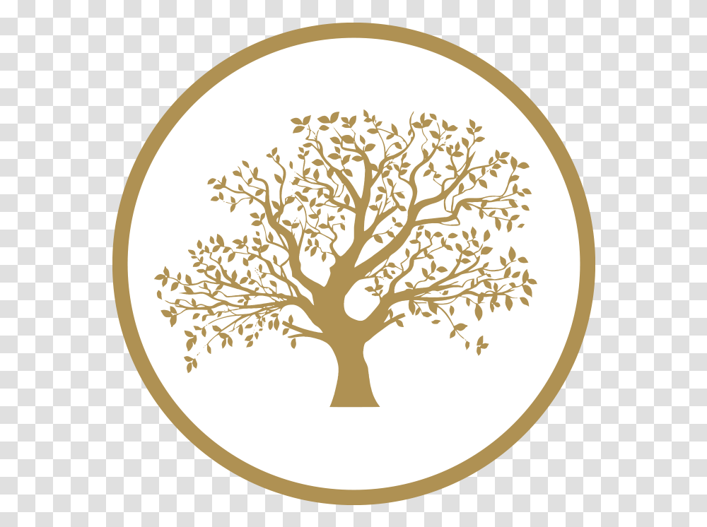 Tree Outline With Roots, Plant, Lamp, Flower, Blossom Transparent Png